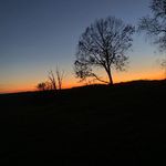 Trevor Benson - @trevor49765 - Instagram