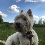 Trevor Blackwell - @blackwell_trevor - Instagram