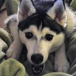 Trevor Bobb - @tbobb189 - Instagram