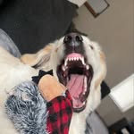 Trevor Bode - @t_bode - Instagram