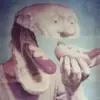 cosmix - @trevorbollinger4 - TikTok