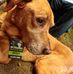 Trevor T-Bone - Facebook