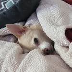 Lynn Trevor - @bougheytrevor - Instagram