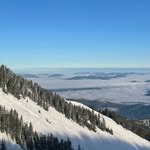 Trevor Brewer - @a406hunter - Instagram