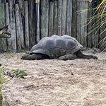 Trevor Brewer - @trevor.brewer.12 - Instagram
