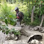 Trevor Britton - @trevorbritton5 - Instagram