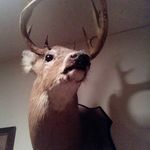 trevorbritton - @trevorbritton1776 - Instagram