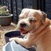 Trevor Bruce - Facebook