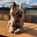 Trevor Hammond-Burt - Facebook