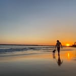 @trevorcarrick - Instagram