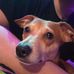 Trevor Caudill - Facebook