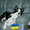 Trevor Childs - @trevor.childs - TikTok