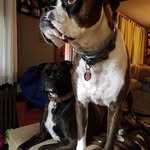 Trevor Clement - @tclementvt - Instagram