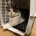 Trevor Clinton - Facebook