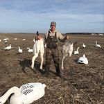 Trevor Cole - @trevor_cole88 - Instagram