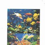 Trevor Cole's Seafood - Facebook