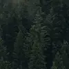 Trevor Combs - @combstr92 - TikTok
