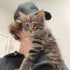 trevvv - @trevor.corn - TikTok
