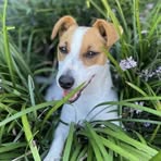 Trevor Crawford - Facebook