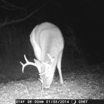 Will Gentry, Trevor Crews - @whitetail_ - Instagram