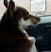 Trevor Crouch - Facebook