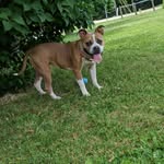 Trevor Dailey - @trevordailey3333 - Instagram
