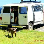 Trevor Denton - @campinvanlife - Instagram