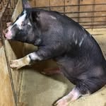 Trevor Denton - @trevor_denton_ - Instagram
