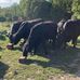 Trevor Dobson - Facebook