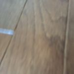 Trevor Dolan - @trrevorrdolan - Instagram