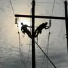 trevor.downs - @t_downs12 - TikTok