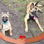 Keagle Trevor - @trevor.keagle - Instagram