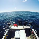 Trevor Egan - @trevor.egan - Instagram