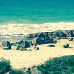 Trevor Egan - @egan.t - Instagram