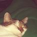 Trevor Angstrom - Facebook
