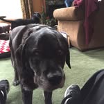 Trevor Foss - @t_l_foss - Instagram