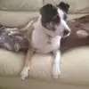 Frank Trevor - @frank.trevor1 - TikTok