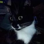 Trevor Gamble - @gamble_trevor - Instagram