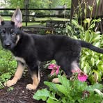 Trevor Gangwer - Facebook