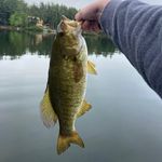 Trevor Gardner - @trevor_gardner58 - Instagram
