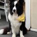 Trevor Gardner - Facebook