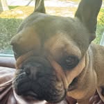 Trevor - @trevor.ginnetty - Instagram