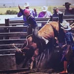 Trevor Grimm - @trevorgrimm1 - Instagram