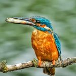 Trevor Hardy - @trevor_hardy_photography - Instagram