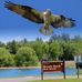 Trevor Hardy wildlife photography - Facebook