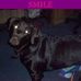 Trevor Hart - Facebook