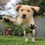 Trevor Hauser - @ascotseven - Instagram