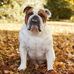Trevor Hazelett - Facebook