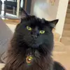 Trevor Sorheim - @trevor_sorheim - TikTok
