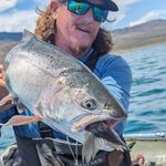 Trevor Herring - @trevor_czechs365 - Instagram